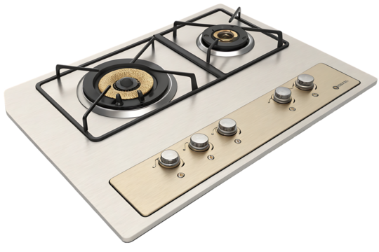 Modern Two-Burner Gas Cooktop with Brushed Stainless Steel and Gold Accents