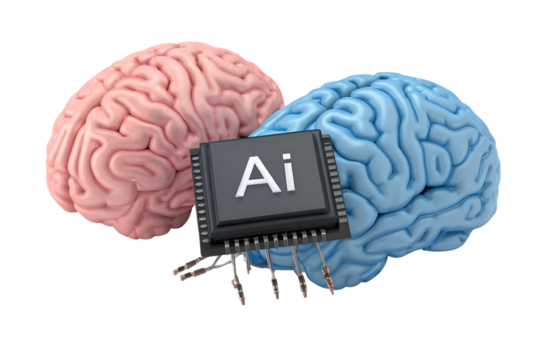 Artificial Intelligence Concept Two Human Brains Connected to AI Microchip