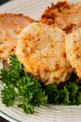 Meat cutlet pork, beef, chicken fried meat dish fresh gourmet food background on the table rustic food top view copy space