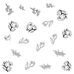 Flower Set Pattern Line Art 