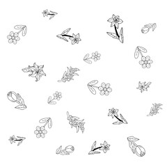Flower Set Pattern Line Art 