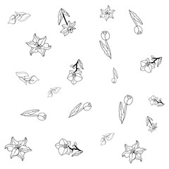 Flower Set Pattern Line Art 
