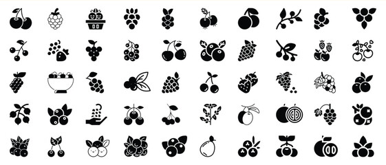 Diverse collection of vector fruit icons featuring cherries grapes berries and more