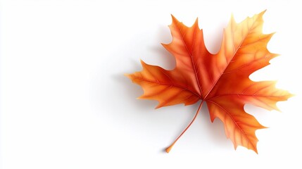 Realistic, colorful autumn leaf with intricate veins, against white background
