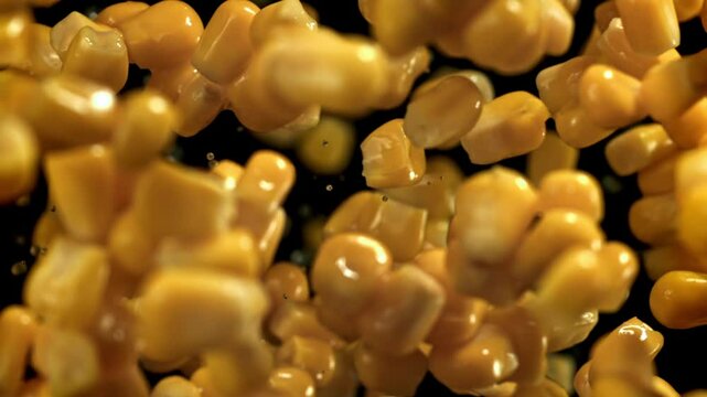 Canned corn flies up and falls down. Filmed on a high-speed camera at 1000 fps. High quality FullHD footage