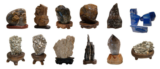 set of stone fossil 