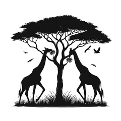 Zoo Giraffe Silhouette Eating Leaves Illustration