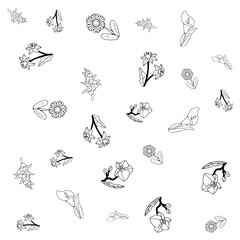 Obraz premium Flower Set Pattern Line Art 