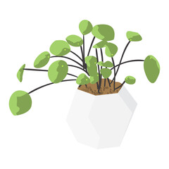 Indoor plant illustration isolated over white background.Cute minimal plant mockup design ready to be used for representation purposes.Modern interior design elements.Contemporary plant graphic icon.