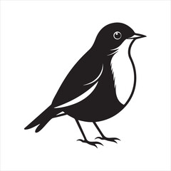 Obraz premium american robin silhouette black vector