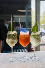 Experience Vibrant Cocktails at a Modern Bar Perfect Evening Delight Awaits You Here