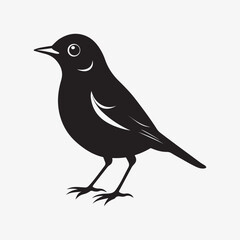 american robin silhouette black vector