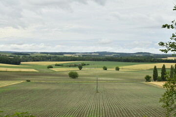 Ciel gris contrastant avec la verdure du paysage rural près du bourg de Champagne au Périgord Vert  © Photocolorsteph