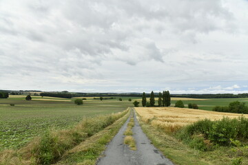 Ciel gris contrastant avec la verdure du paysage rural près du bourg de Champagne au Périgord Vert  © Photocolorsteph