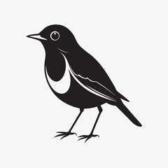 Obraz premium american robin silhouette black vector