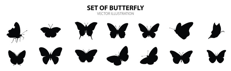 Butterfly vector design