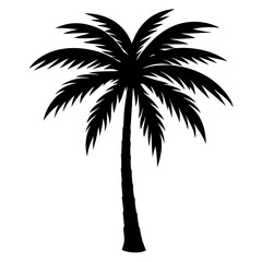 Obraz premium Tropical palm tree vector silhouette. Hand-drawn vector illustration.