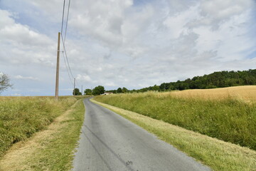 Fototapeta premium Route de campagne sous un ciel nuageux entre les bourgs de Champagnes et Vendoire au Périgord Vert 