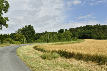 Route de campagne longeant un champ de blé au bourg de Champagne au Périgord Vert 