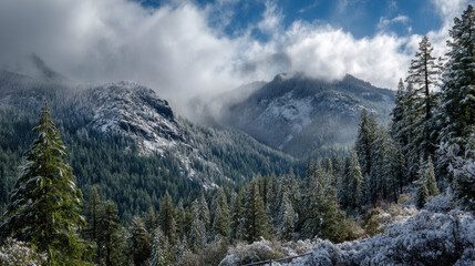 A stunning winter landscape features snow covered trees on a mountainside under a cloudy blue sky showcasing natures beauty and peaceful solitude in nature.