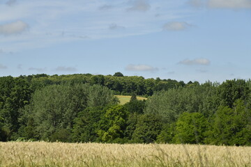 Colline boisée près du bourg de Champagne au Périgord Vert 