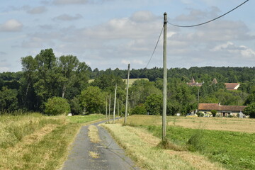 Ligne téléphonique le long d'un chemin asphalté près du bourg de Champagne au Périgord Vert  © Photocolorsteph