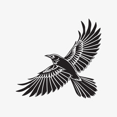 Obraz premium american robin silhouette black vector