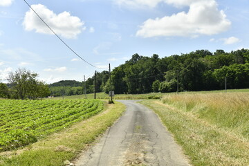 Route de campagne sous un ciel bleu entre champs et bois près du bourg de Champagne au Périgord Vert 