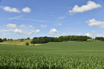Cumulus de beau temps sur les collines et champs de maïs près du bourg de Vendoire au Périgord Vert  © Photocolorsteph