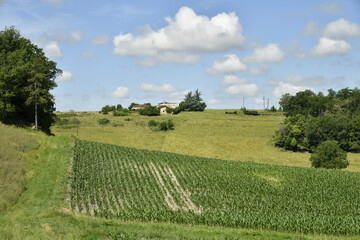 Paysage rural sous des cumulus de beau temps près du bourg de Vendoire au Périgord Vert  © Photocolorsteph