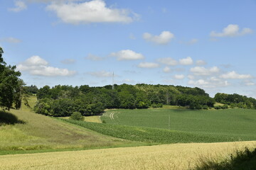 Cumulus de beau temps sur les collines et champs de maïs près du bourg de Vendoire au Périgord Vert 
