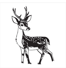 Deer Vector 