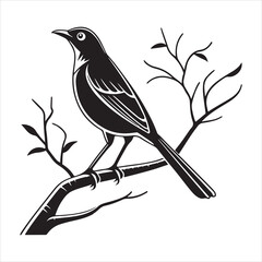 american robin silhouette black vector