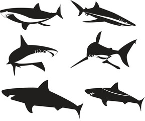 Shark symbols in black. Set. Vector against a gray backdrop. Illustration and Art