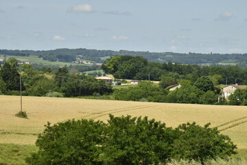 Champs de blé sur les collines aux environs du bourg de Vendoire au Périgord Vert  © Photocolorsteph