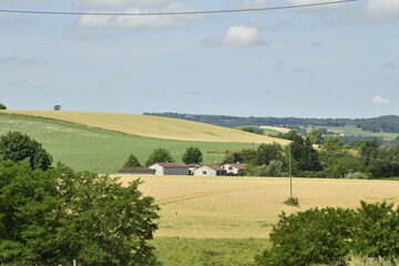 Champs de blé sur les collines aux environs du bourg de Vendoire au Périgord Vert  © Photocolorsteph