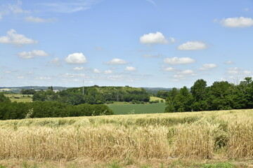 Champ de blé en partie endommagé sous des cumulus de beau temps près du bourg de Champagne au Périgord Vert  © Photocolorsteph