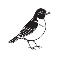 Obraz premium american robin silhouette black vector