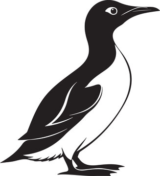 Thick-billed murre bird silhouette vector design with white background.