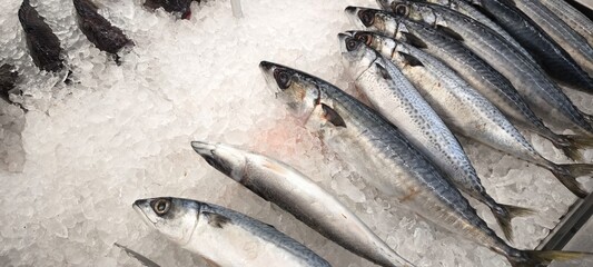 Fresh fish in the fresh market on ice. fish caught from fishing.