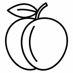 Apricot outline icon on white background