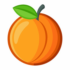 Apricot icon on white background