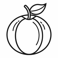 Cantaloupe outline icon on white background