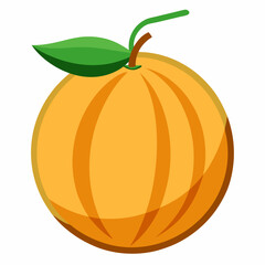 Cantaloupe icon on white background