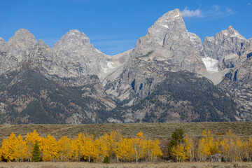 Fototapeta premium Scenic Autumn Landscape in Grand Teton National Park Wyoming