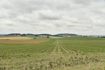 Grande prairie sous un ciel gris près de Villebois-Lavalette en Charente 