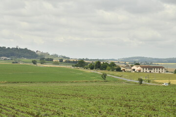 Fototapeta premium Vastes champs d'agriculture sous un ciel gris près de Villebois-Lavalette en Charente 