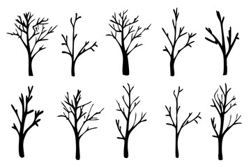 Obraz premium Leafless Black Bare Tree Outline Silhouette vector Illustration