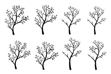 Obraz premium Leafless Black Bare Tree Outline Silhouette vector Illustration