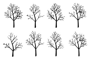 Obraz premium Dead Tree Silhouette Without Leaves. Bare Tree Vector Icon Set 